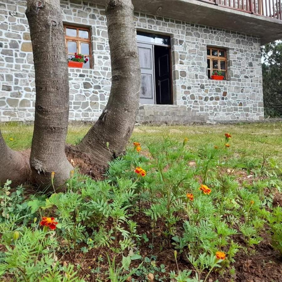 Hotel Grabova Grabove e Siperme エクステリア 写真
